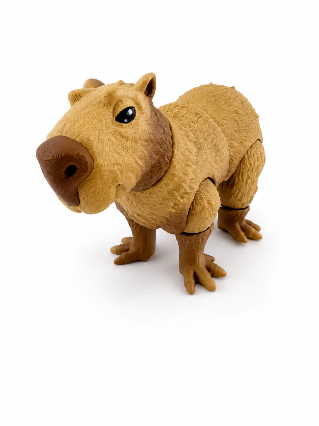 Capybara