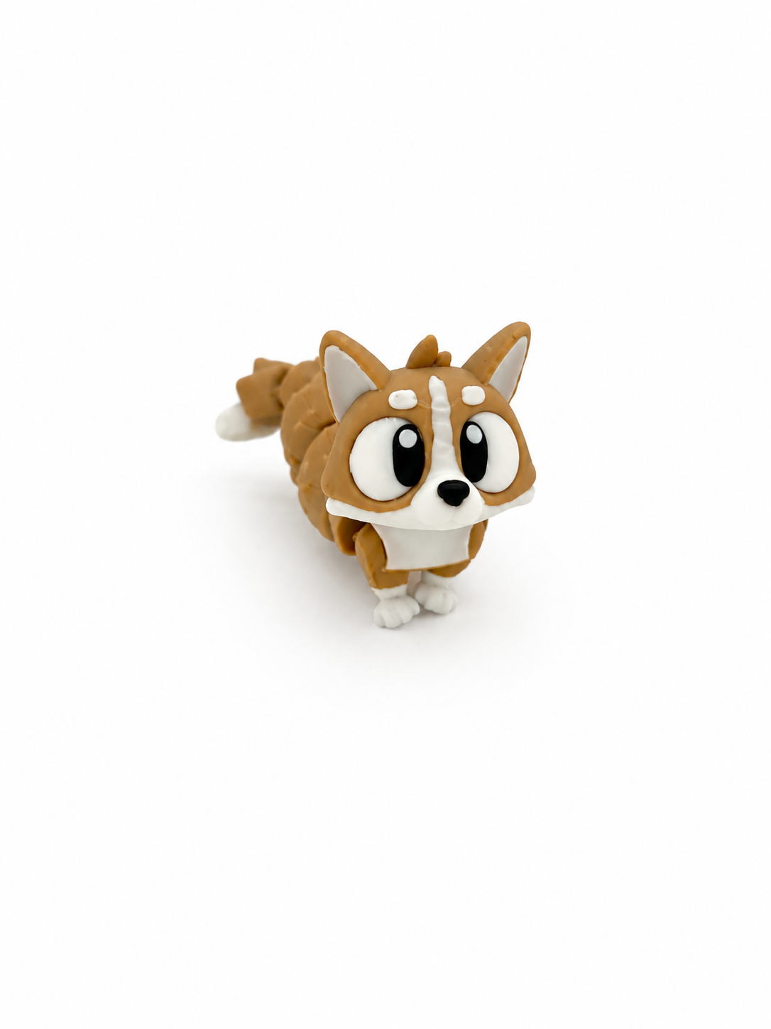 Corgi