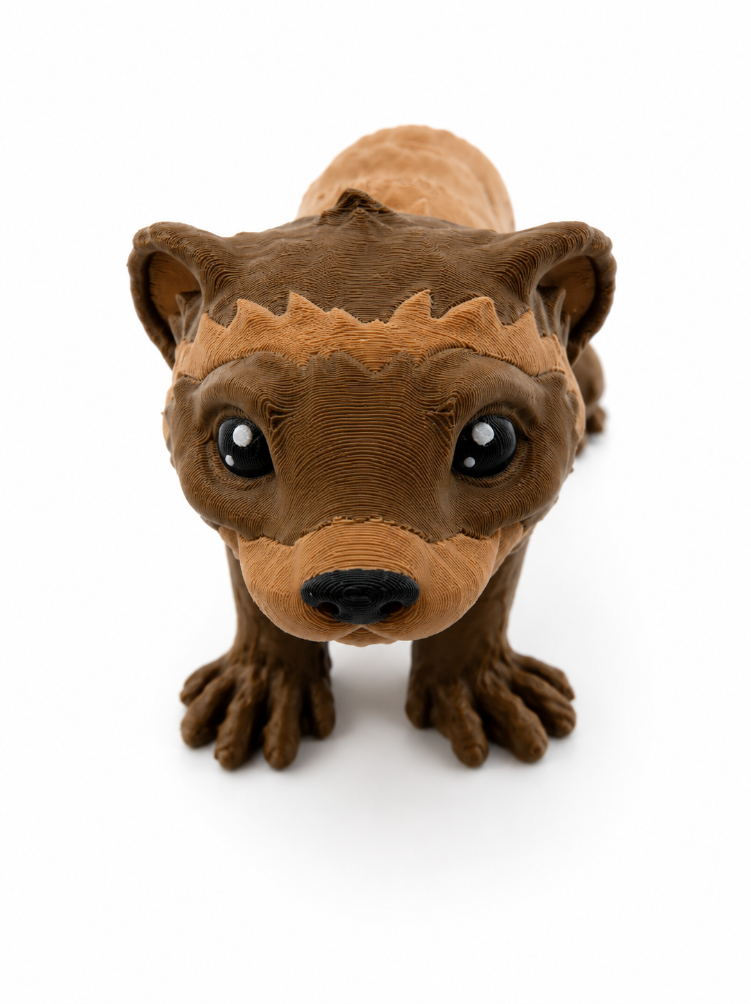 Ferret