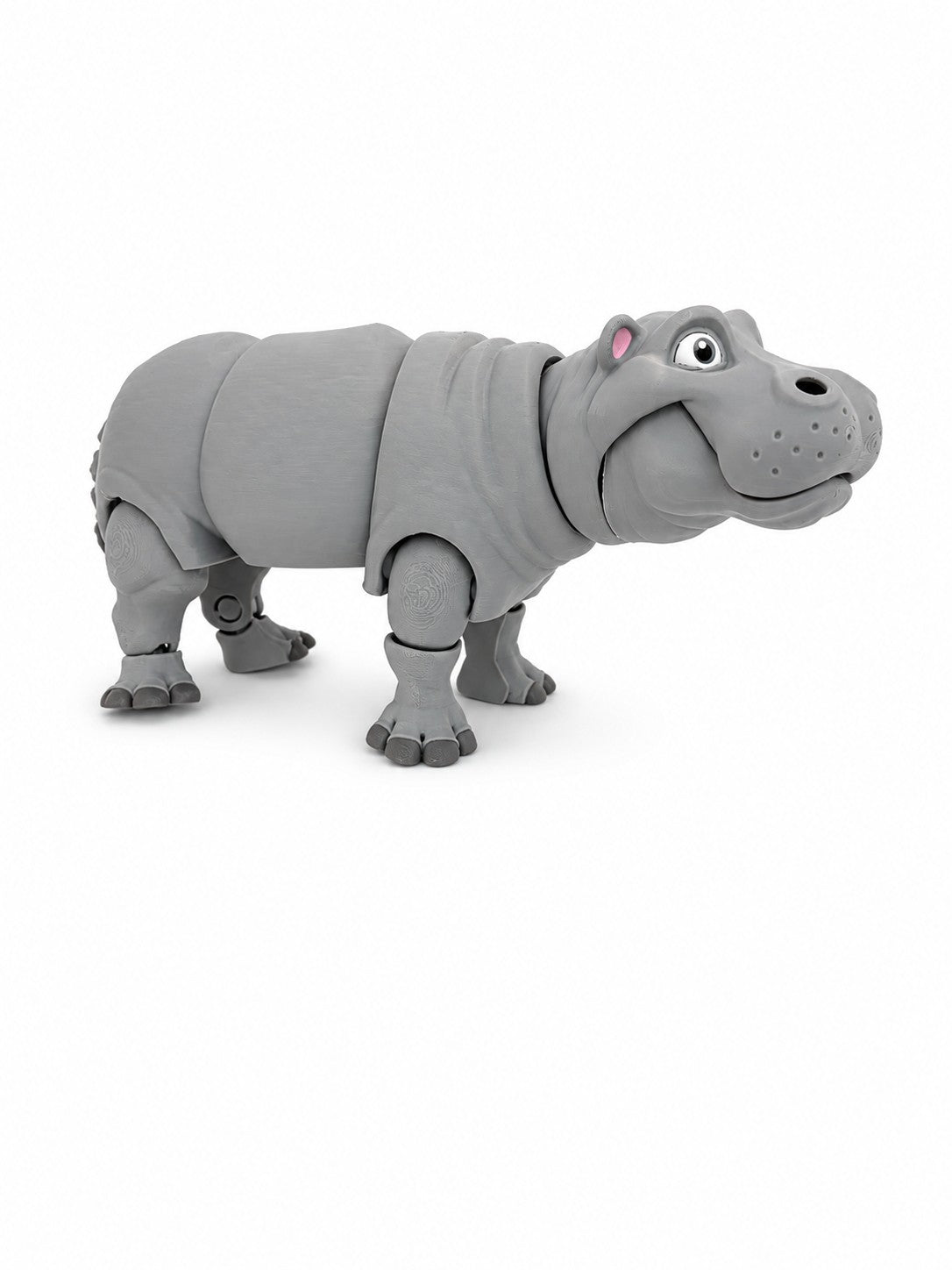 Hippopotamus