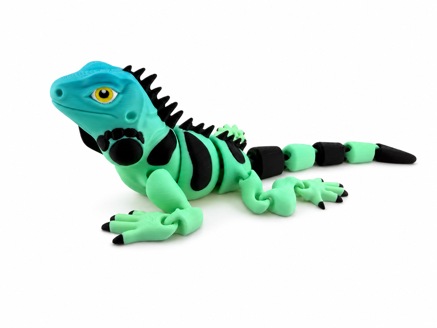 Iguana