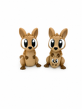 Kangaroo Family