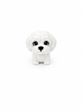 Maltese