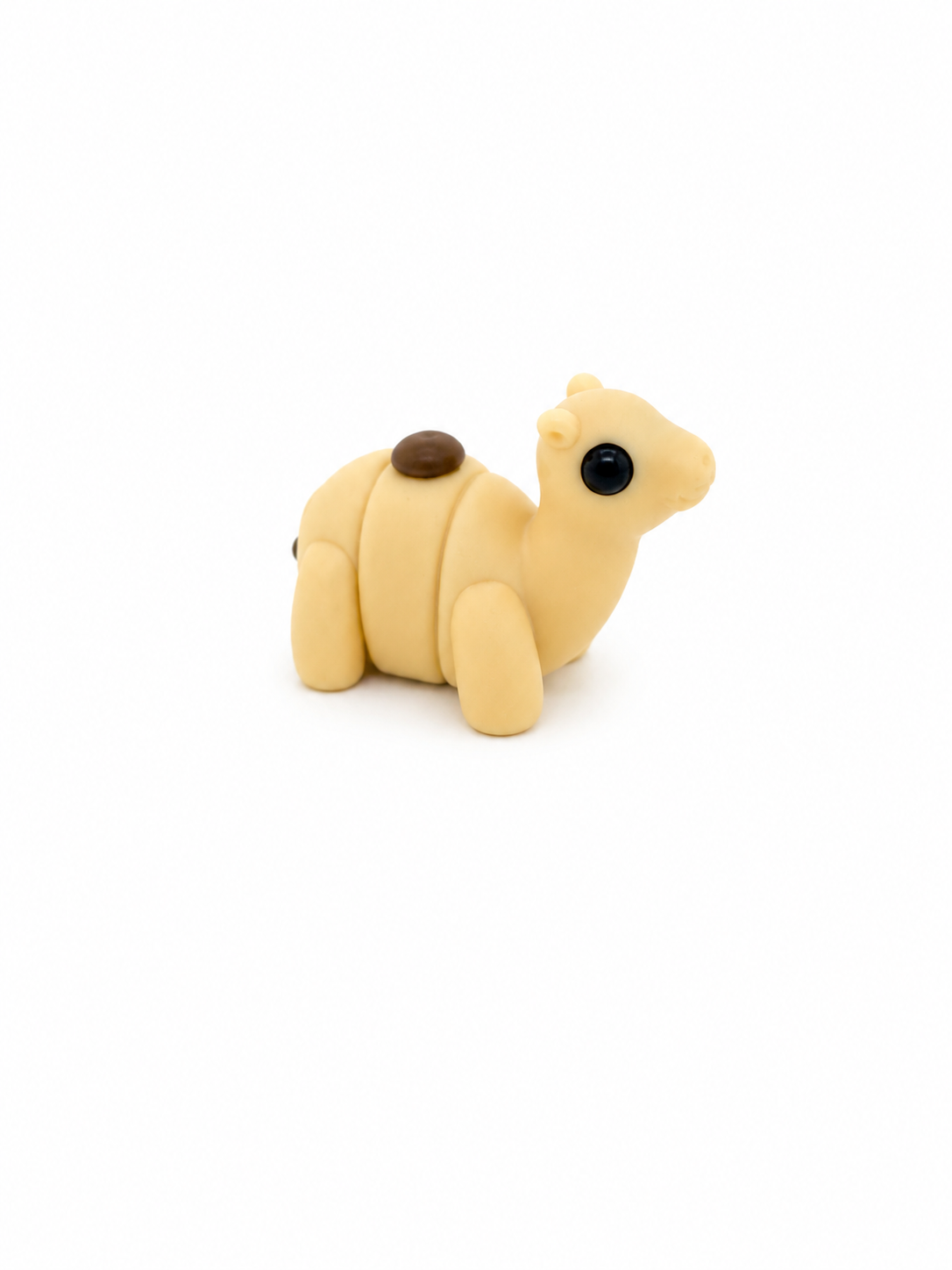 Mini Camel