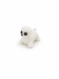 Mini Poodle