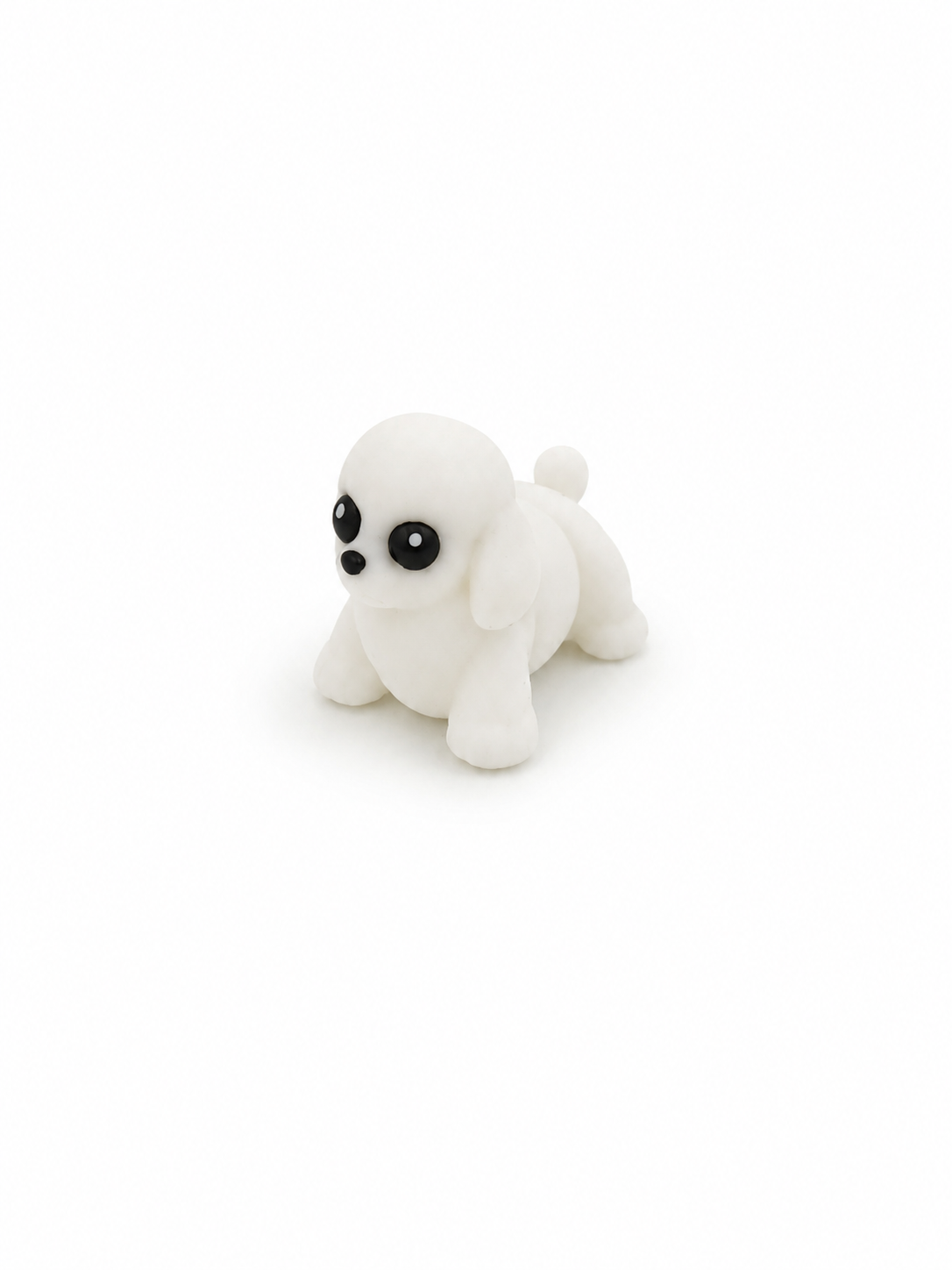 Mini Poodle