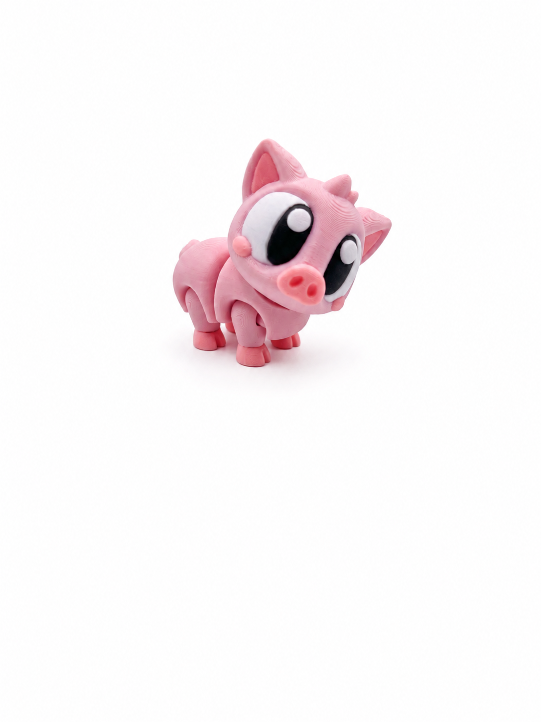 Pig