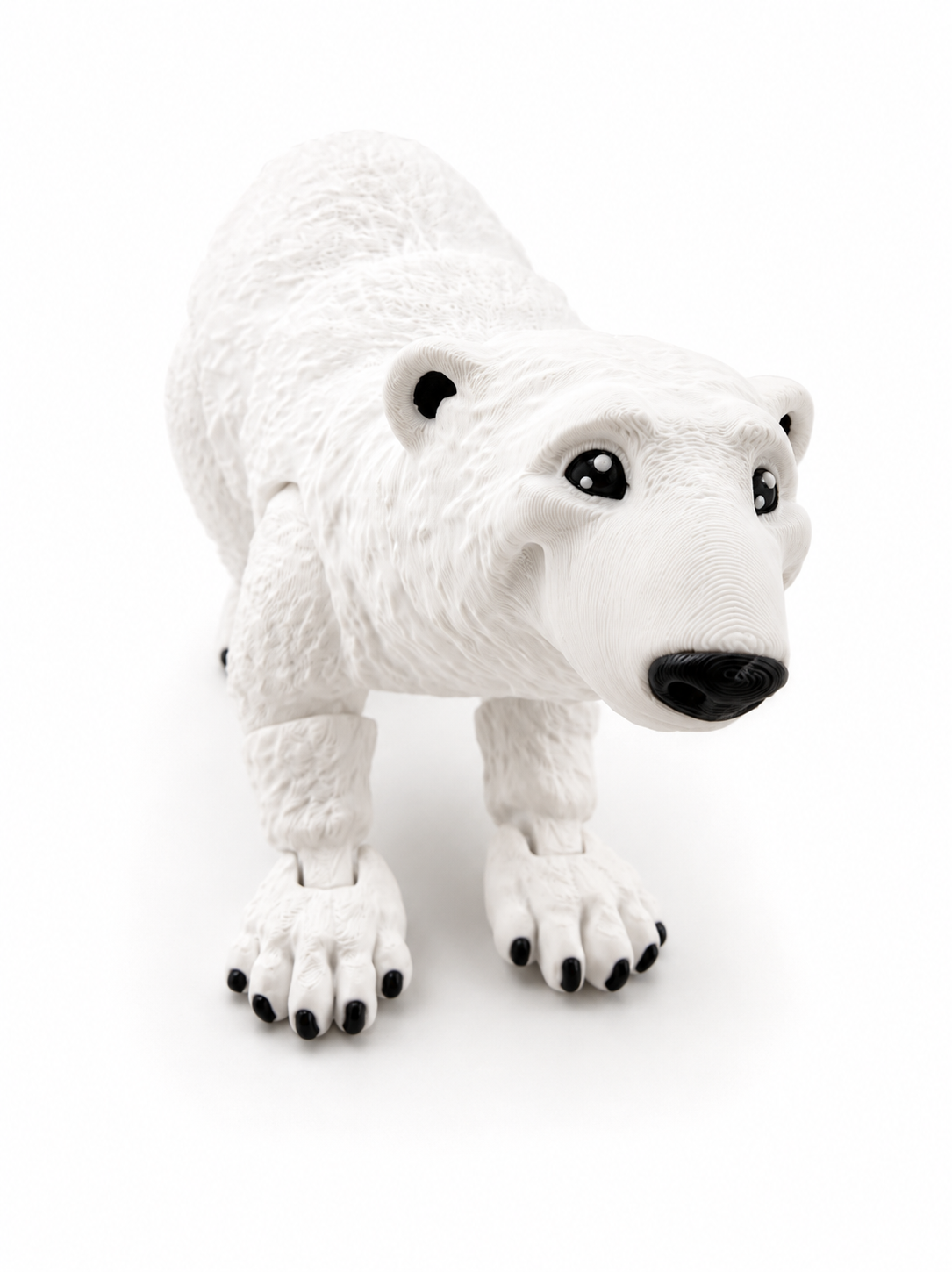 Polar Bear