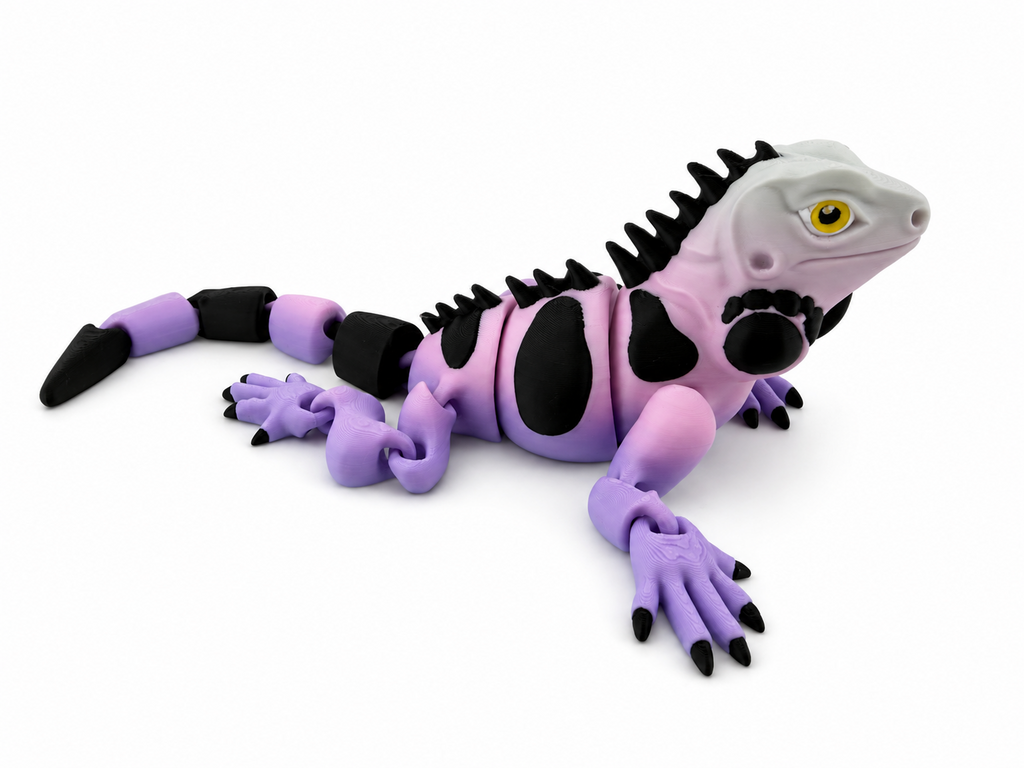 Iguana