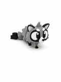 Raccoon