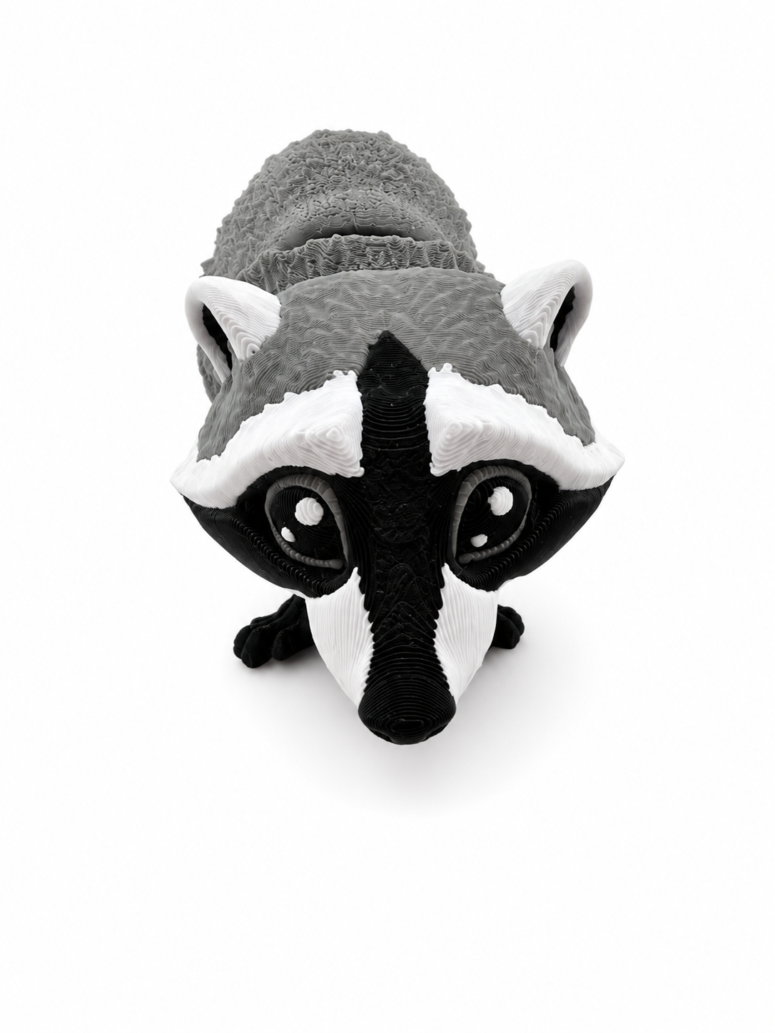 Raccoon