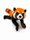 Red Panda