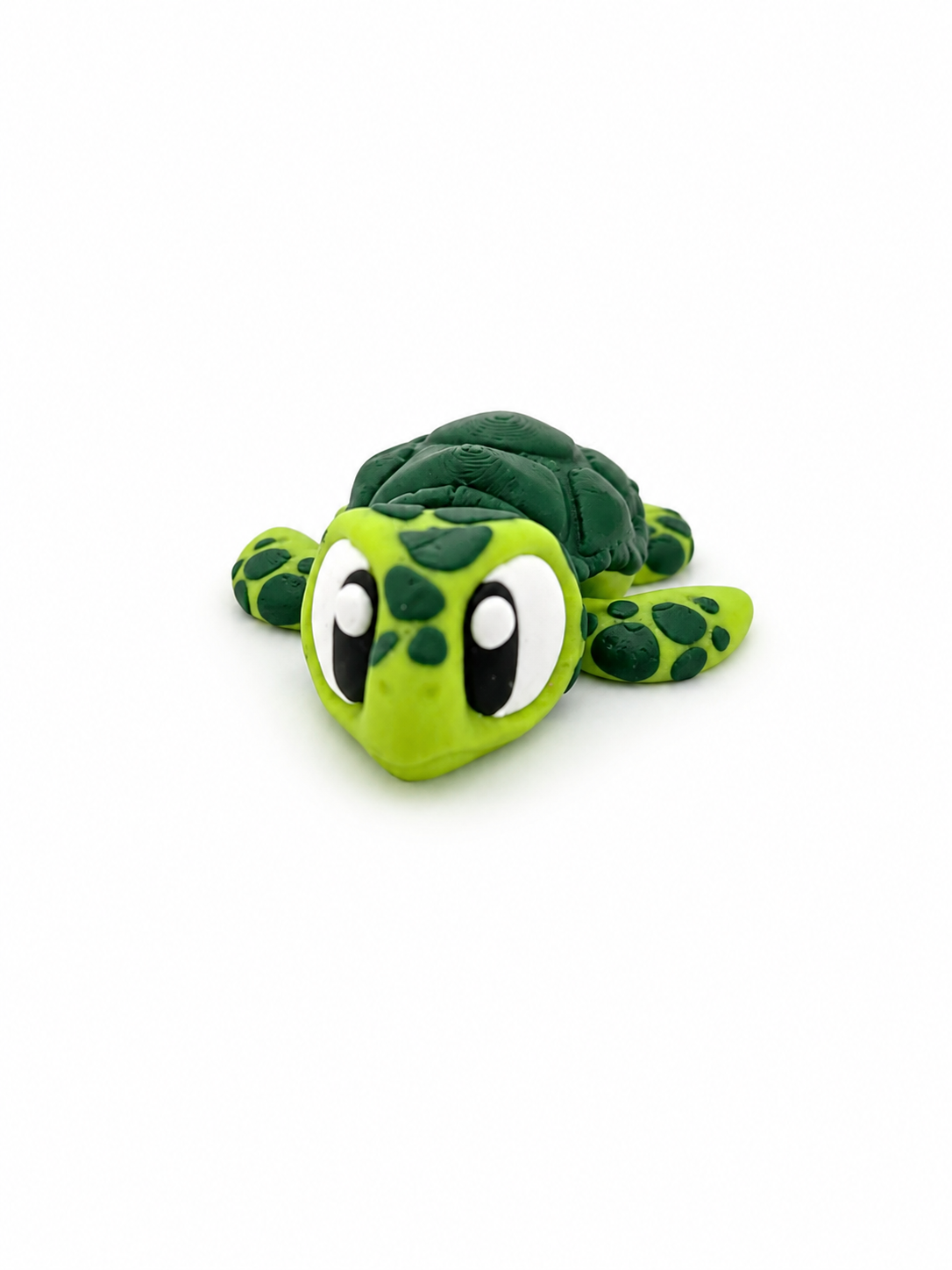 Sea Turtle